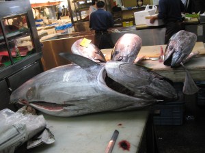 I'd be no match for one of these guys.