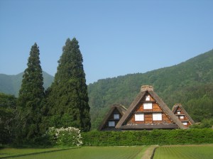 Gassho-zuri thatched houses at Shirakawago UNESCO World Heritage Site