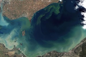 Lake Erie Bloom 2011