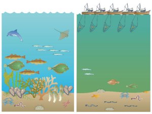 Visions of the coastal/southern North Sea: A Now vision characterized by low transparency, high trawling effort, and depauperate benthic communities; B Then vision characterized by no trawling, high transparency, and diverse benthic communities
