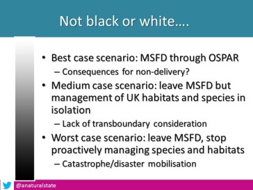 Brexit talk Black or white
